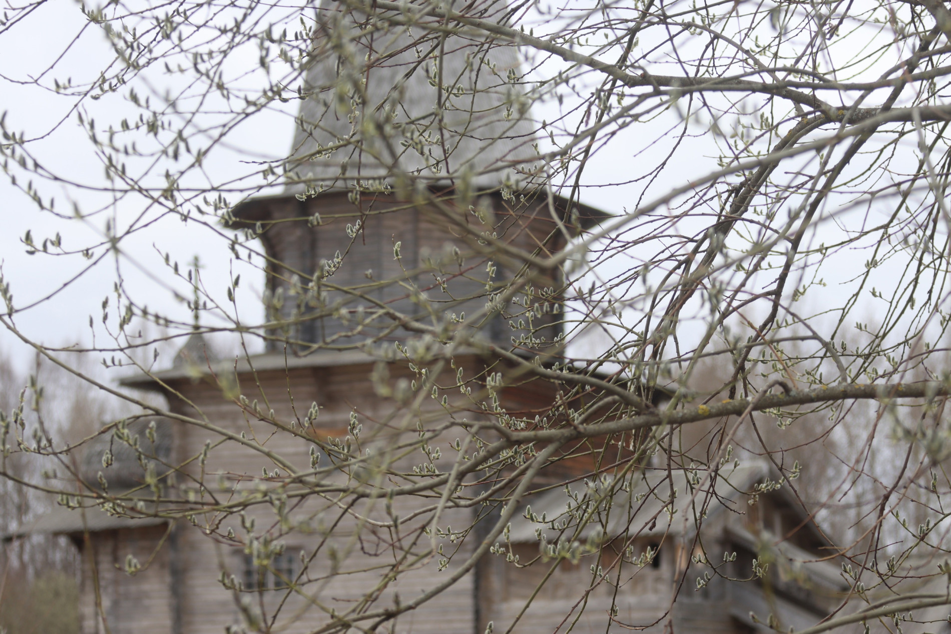 Фото: Степан Анкудинов