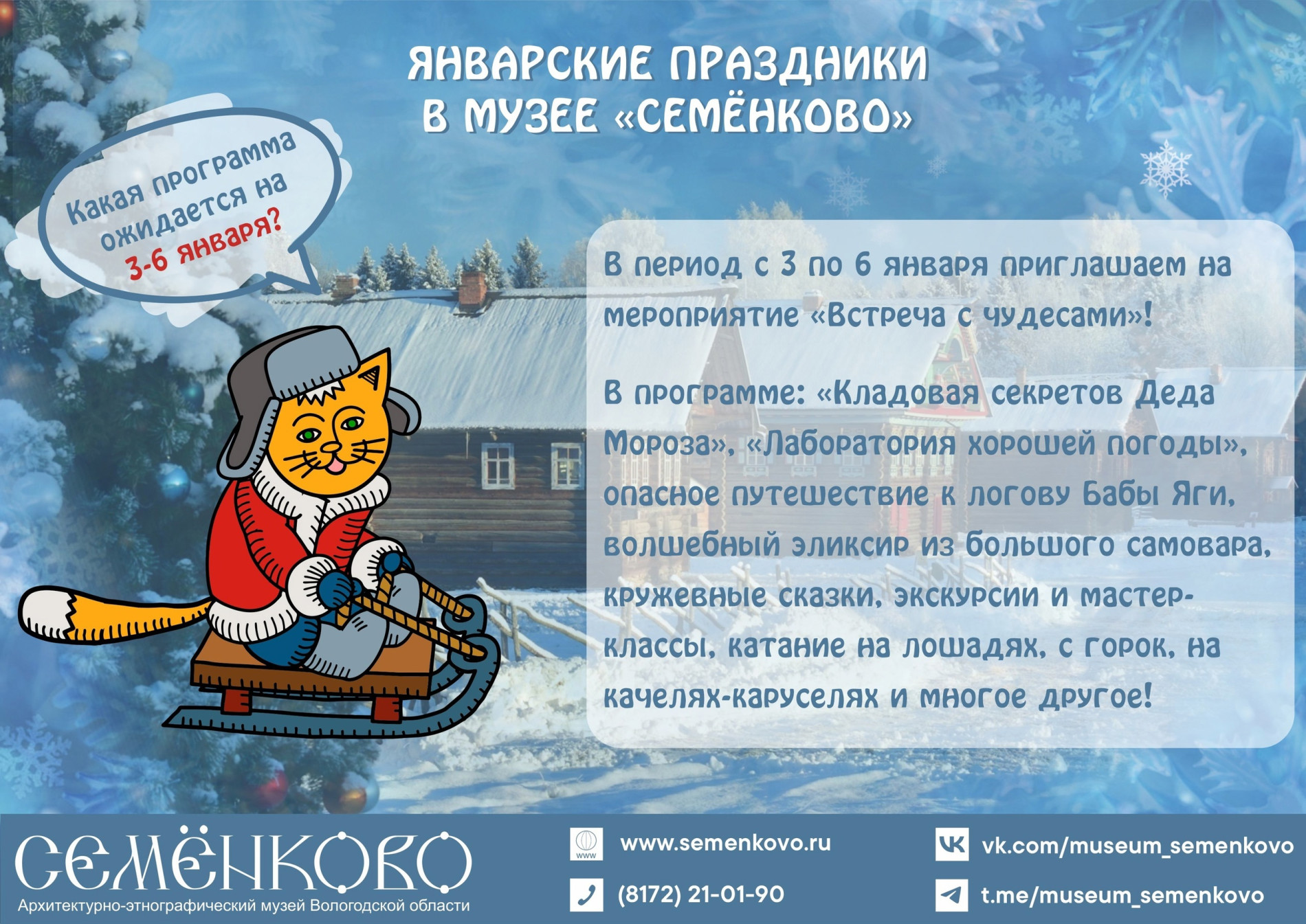 Новый год в Семёнково